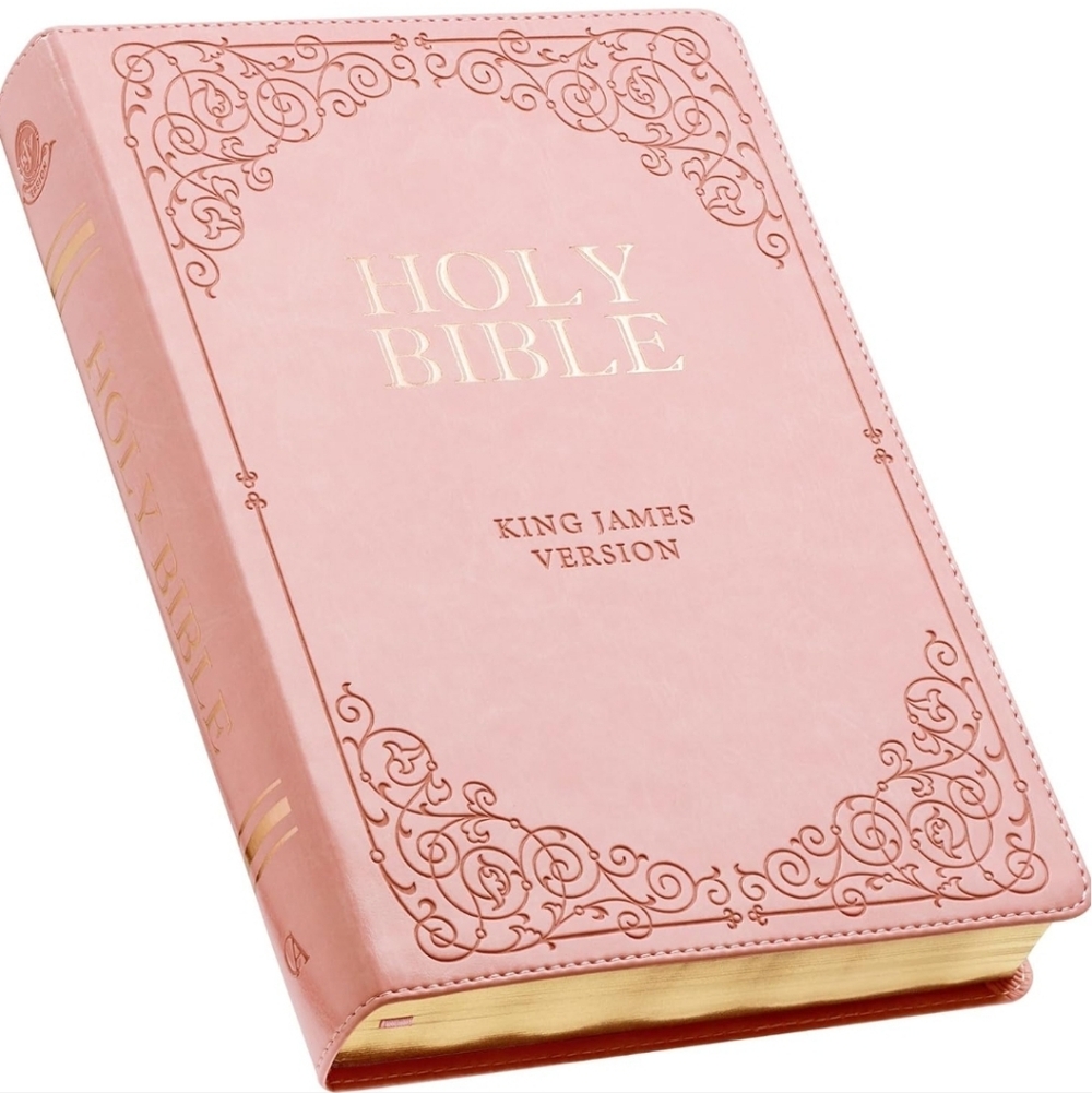 KJV Holy Bible, Giant Print Full-size Faux Leather Red Letter Edition LIKE NEW